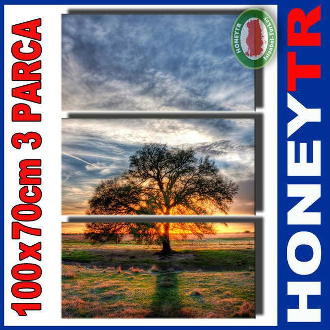 100x70cm 3 PARÇALI CANVAS TABLO AĞAÇ