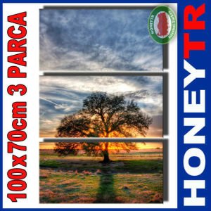 100x70cm 3 PARÇALI CANVAS TABLO AĞAÇ