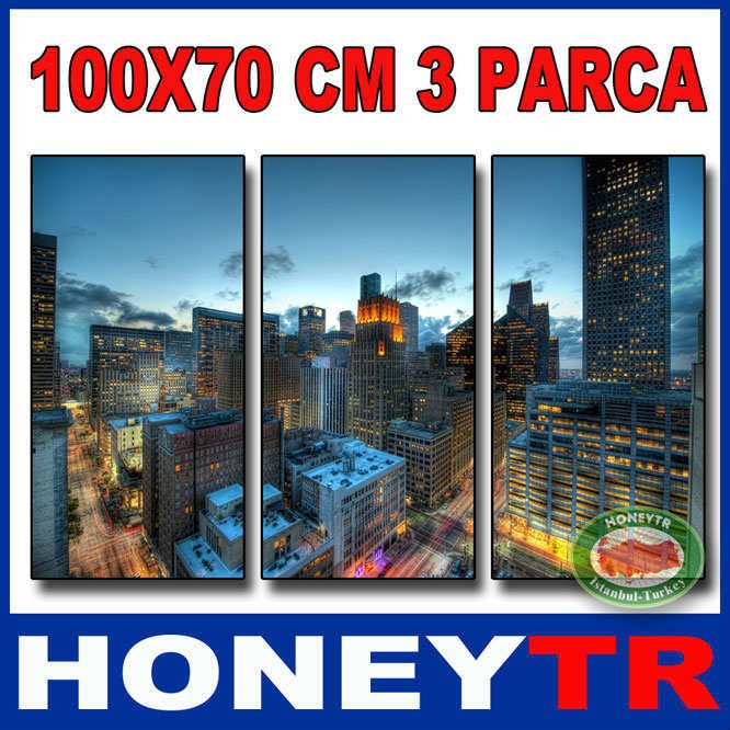 100x70cm 3 PARÇALI CANVAS TABLO  EVULATİON
