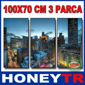 100x70cm 3 PARÇALI CANVAS TABLO  EVULATİON