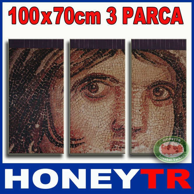 100x70cm 3 PARÇALI CANVAS TABLO ZEUGMA MOZAİK