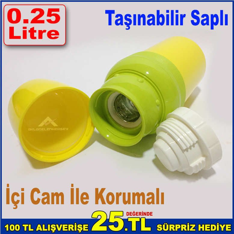 0.25 Litre Kapasiteli Çocuk Termosu İçi Cam ile Korumalı Taşınabilir Saplı Su Termosu-1