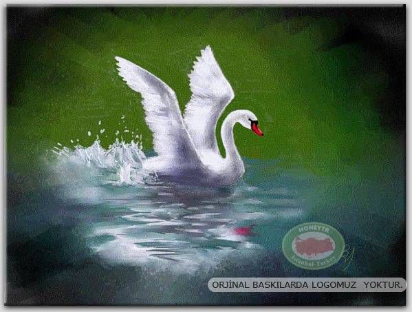 100x70cm ÇERÇEVELİ CANVAS TABLO FANTASY C01 1140