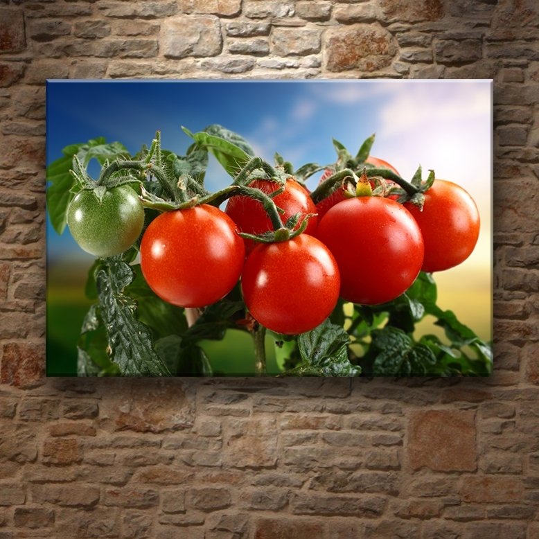 KIRMIZI DOMATESLER 7 değişen ölçü ORİJİNAL KANVAS TABLO