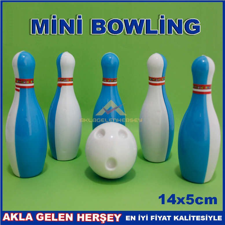 RENKLİ 6 LOBUT TEK TOP İLE MİNİK BOWLİNG SETİ 