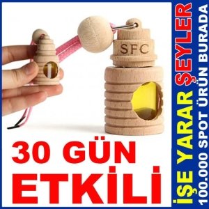 30 GÜN FERAHLIK SAĞLAYAN AHŞAP OTO KOKUSU