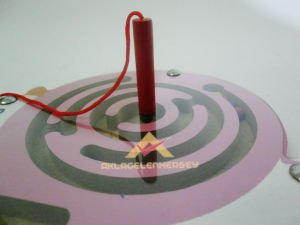 ÇOCUKLAR İÇİN AHŞAP MAGNETİK KURBAĞA LABİRENT