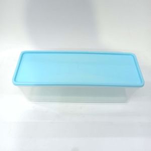 Zambak Plastik Renkli Kapaklı 31 cm x 9.5 cm Dikdörtgen Saklama Kabı