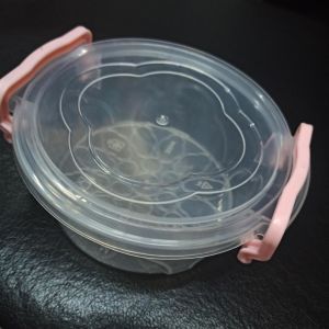 300 ml Plastik Renkli Kilit Kapaklı 4 Parçadan Oluşan Mini Saklama Kabı