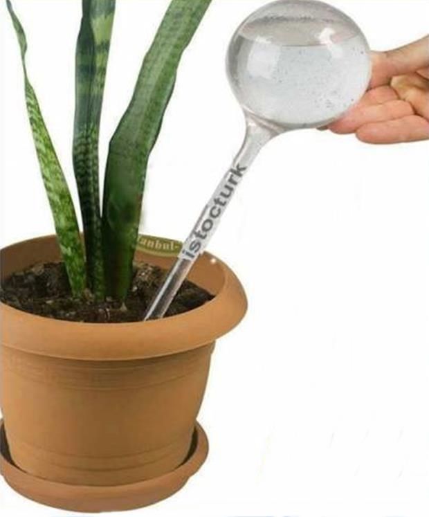 Çiçeklerinizi koruyan 1 ADET saksı suluğu çiçeklerin ömrünü uzatan otomatik çiçek sulama sistemi