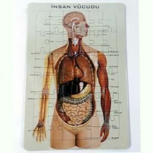 Süper Eğitici Ürün 20 Parça İnsan Vücudu Organ Puzzle Mükemmel Öğreten Yazılı Vücut Tanımlama Şemalı