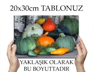 KABAK ÇEŞİTLERİ 7 değişen ölçü ORİJİNAL KANVAS TABLO