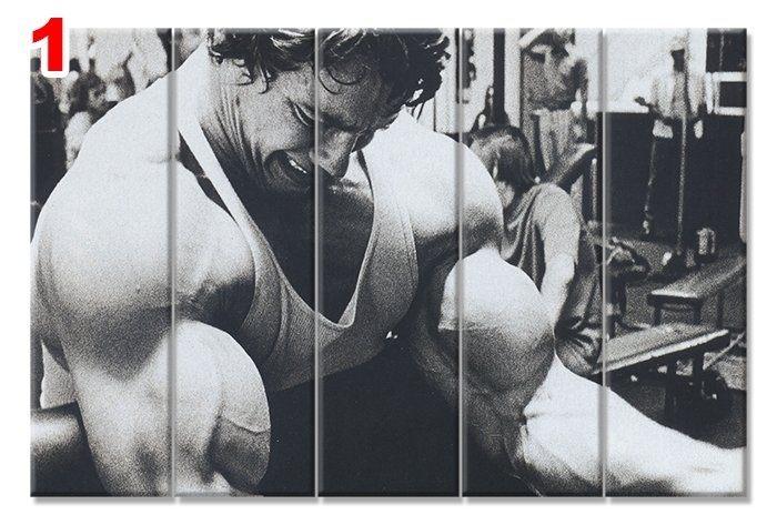 ARNOLD SCHWARZENEGGER 7 STİL 5 PARÇALI KANVAS TABLO