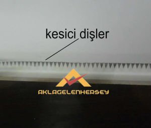 50x13 cm BOYUTUNDA AHŞAP FOLYOLUK VE STREÇLİK