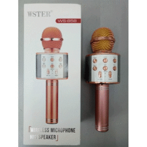 Wster WS-858 Usb,Sd Card,Jack Karaoke KTV Player Magic Mikrofon