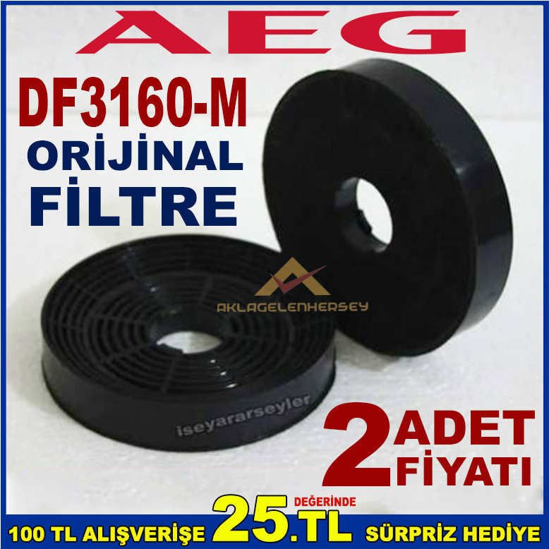 AEG DF3160-M ANKASTRE DAVLUMBAZ FİLTRESİ DF3160-M ASPİRATÖR KARBON FİLTRE