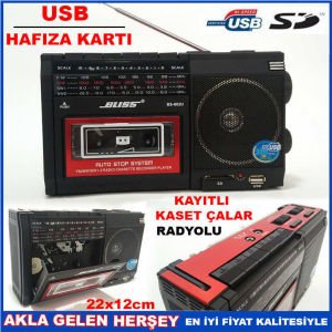 USB ve HAFIZA KART GİRİŞLİ RADYOLU KASET ÇALAR
