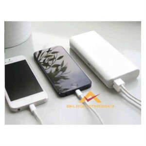 POWERBANK 12000 mAh 2 USB GİRİŞLİ HARİCİ BATARYA