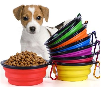 Katlanabilir Kedi Köpek Mama ve Su Kabı