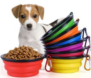 Katlanabilir Kedi Köpek Mama ve Su Kabı
