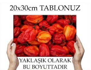 DOLMALIK BİBERLER 7 değişen ölçü ORİJİNAL KANVAS TABLO