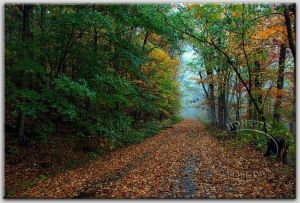 40x30 cm AHŞAP ÇERÇEVELİ CANVAS TABLO 0096