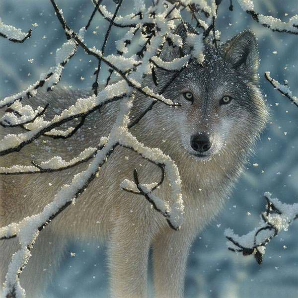 AHŞAP ÇERÇEVELİ CANVAS TABLO RESSAMLAR1152 40x30