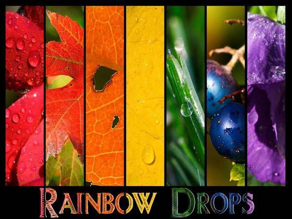 AHŞAP ÇERÇEVELİ CANVAS TABLO RESSAMLAR1078 40x30