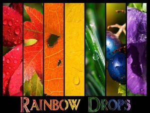 AHŞAP ÇERÇEVELİ CANVAS TABLO RESSAMLAR1078 40x30