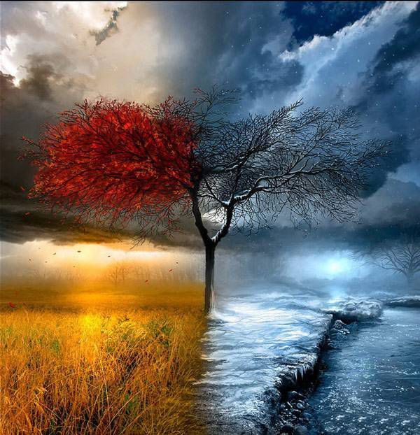 AHŞAP ÇERÇEVELİ CANVAS TABLO RESSAMLAR1153 40x30