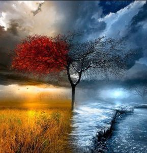 AHŞAP ÇERÇEVELİ CANVAS TABLO RESSAMLAR1153 40x30