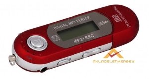 POWERWAY 2GB PİLLİ RADYOLU KULAKLIKLI MP3 ÇALAR