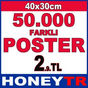 40x30cm KUŞE KAĞIDA BASKI POSTER +50.000 SEÇENEK