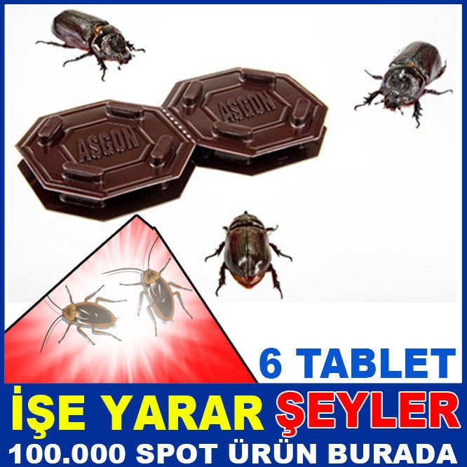 ASGON 6 AY BOYUNCA ETKİLİ ZEHİRLİ BÖCEK YEMİ 