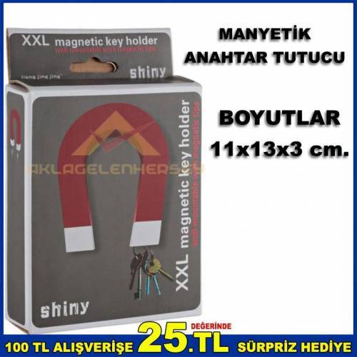 AT NALI MIKTANIS ŞEKLİNDE VİDALI MANYETİK ANAHTAR TUTUCU