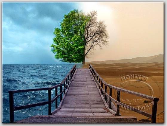 100x70 AHŞAP ÇERÇEVELİ CANVAS TABLO BÜYÜKBOY0034