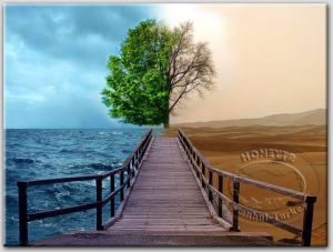 100x70 AHŞAP ÇERÇEVELİ CANVAS TABLO BÜYÜKBOY0034