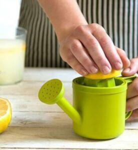 Bahçıvan Limonluk Çim Sulama Kabı Şeklinde Limon Sıkıcı ve Sosluk