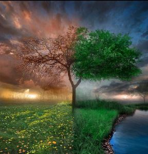 AHŞAP ÇERÇEVELİ CANVAS TABLO RESSAMLAR1007 40x30