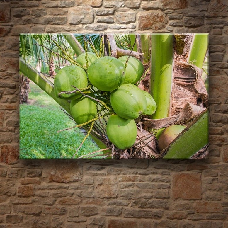 COCONAT AĞACI 7 değişen ölçü ORİJİNAL KANVAS TABLO