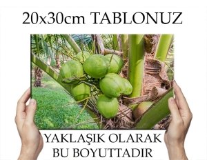 COCONAT AĞACI 7 değişen ölçü ORİJİNAL KANVAS TABLO
