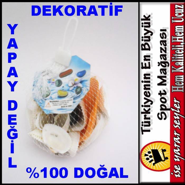 %100 DOĞAL GERÇEK DEKORATİF DENİZ KABUKLARI