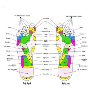8 Noktalı Manyetik Ayakkabı Tabanı Sağlığınız İçin Bir Çok Hastalığın Çözümü Ayaktan Geçer