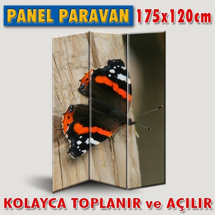 GÖRSELLİ KATLANIR PANEL BÖLME SİSTEMİ - BİRGÜN GÜZELLİĞİ