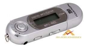 POWERWAY 2GB PİLLİ RADYOLU KULAKLIKLI MP3 ÇALAR