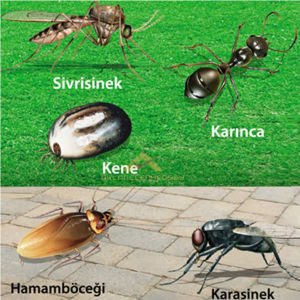 BAYER YÜRÜYEN UÇAN HAŞERELERE KARŞI ETKİLİ SPREY