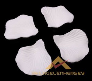 600 ADET 5CM BEYAZ YAPAY GÜL YAPRAKLARI