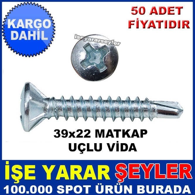 50 ADET 39x22 MATKAP UÇLU METAL VİDA KD