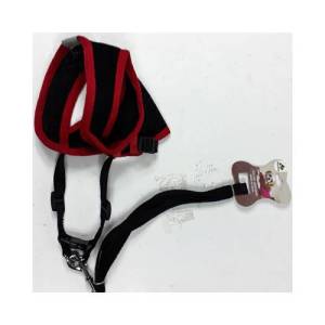 Belden Bağlamalı Güvenli Ve Sağlam Küçük Köpek Tasması