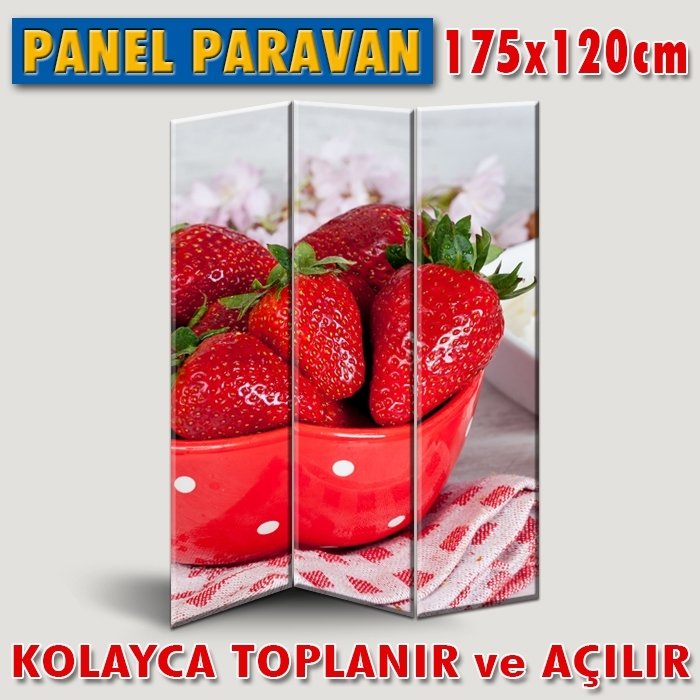GÖRSELLİ KATLANIR PANEL BÖLME SİSTEMİ - ÇİLEKLER 5